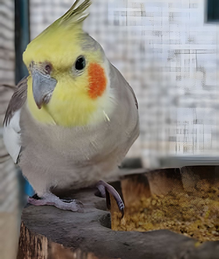 Casa para Temporada Super aconchegante.